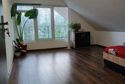 Casă cu 4 camere în Alexandru Odobescu - 2