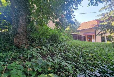 Apartament de doua camere  la casa , cu gradina zona centrul Istoric - 13