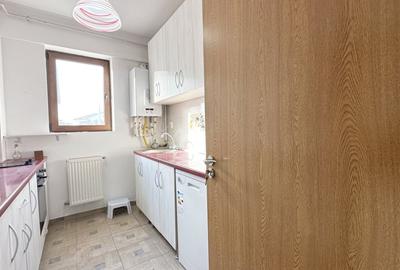 Apartament cu 2 camere decomandat, mobilat în Haliu - 32