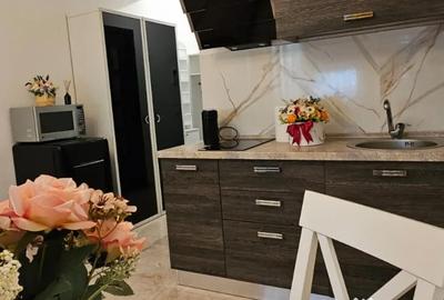 Garsonieră decomandată în Copou - 2