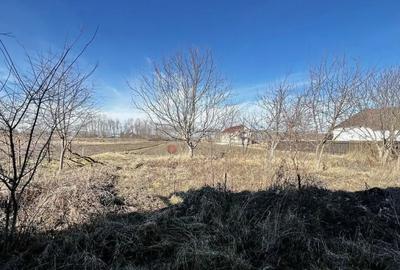 Teren de 6000 mp, în Stupini - 2