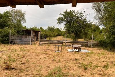 Casă individuală cu 3 camere cu Teren 3300 Mp în Mihăilești-Popești - 2