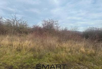 Teren Intravilan 1105 mp Sanpetru - 4