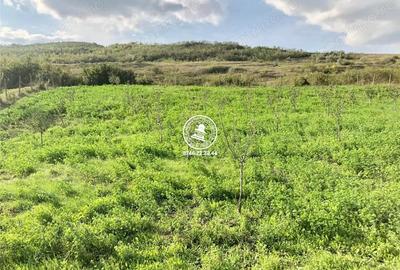 Teren pentru constructii case de vanzare Iasi, Mogosesti, - 11