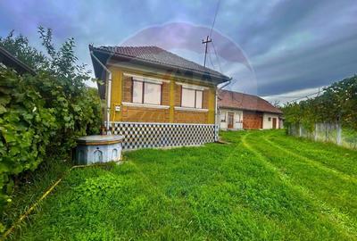 Casă individuală cu 4 camere cu Teren 2000 Mp în Buciumi - 23