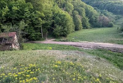 Casă în Almaș-Săliște - 5