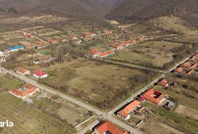 Casă cu 8 camere cu Teren 7235 Mp în Traian Vuia - 18