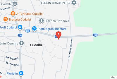 Vand casa com. CUDALBI - 1