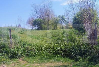 Teren de 1613 mp, în Fizeșu Gherlii - 1