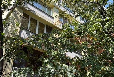 ARCUL de TRIUMF,pe AVERESCU,apartament cochet in imobil reabilitat,luminos - 6