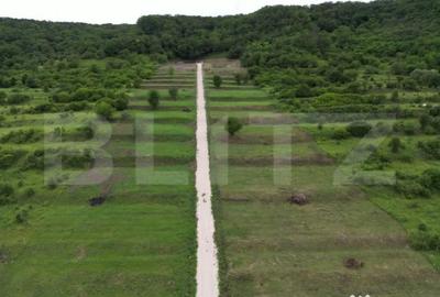 Teren de 15500 mp, în Aiud - 7