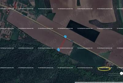 TEREN -Slava Cercheza langa Popas Monte Grego - 5