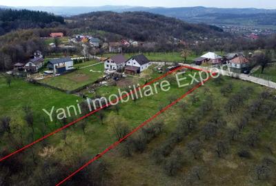 Teren în Borovinești - 10