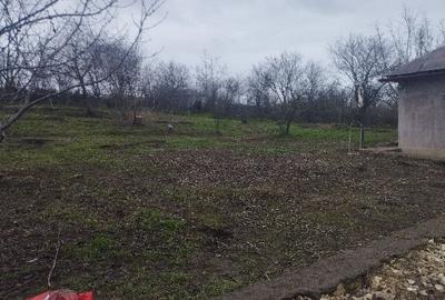 Casă individuală cu 2 camere cu Teren 2500 Mp în Dumbrăveni - 6