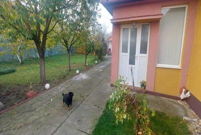 Casă cu 4 camere cu Teren 1900 Mp în Pișchia - 11