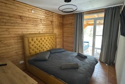 Casă cu 4 camere în Colibița - 3