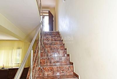 Centru, locuinta spatioasa D+P+E, disponibilitate imediata - 15