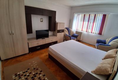 Apartament cu 2 camere decomandat, mobilat în Păcurari - 2