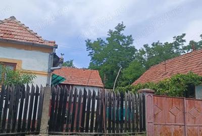 Casă cu 5 camere cu Teren 1600000 Mp în Ghirbom - 6