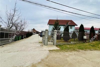 Spatiu industrial cu 2 hale si anexe teren 2543 in Hamba judetul Sibiu - 12
