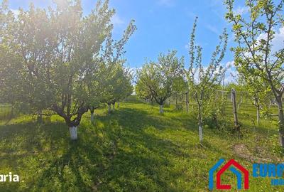 Teren de 1000 mp, în Roșia