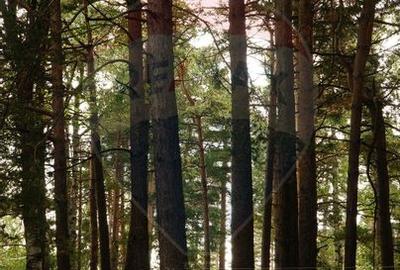 DE VANZARE Pensiune | 12 camere | Bisoca / Buzau - 15