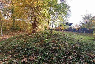 Imobil regim de inaltime p+m, Comarnic - 29