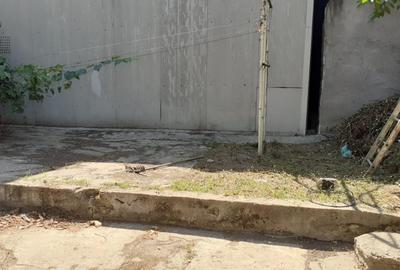 INEL 2-teren cu casa demolabila . Pret nou 169500 Euro ! - 5