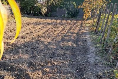 Casă cu 3 camere cu Teren 1354 Mp în Segarcea - 4