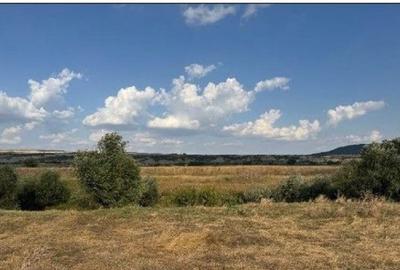 Teren Extravilan Banca, ID: R2805492 - 3