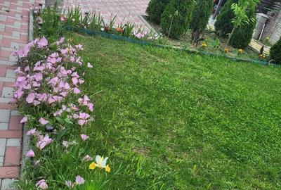 Casă cu 4 camere în Albești - 10