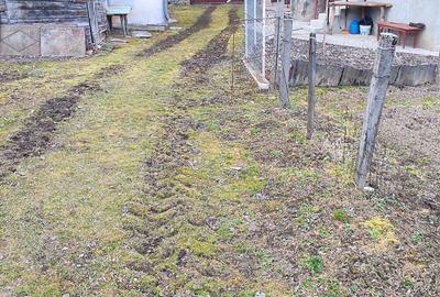 Vand casa cu gradina - 1