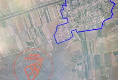 Teren de 10000 mp, în Sânmihaiu Român - 5