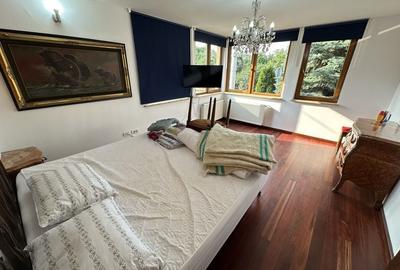 Proprietate cu piscina Dumbravita - 55