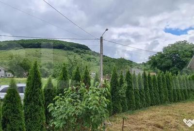 Casă cu 3 camere cu Teren 2900 Mp în Dej - 5
