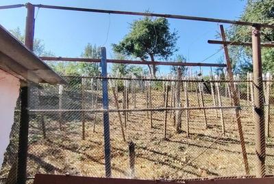Casa traditionala cu 3 camere, teren mare si gradina in Bardesti - 17
