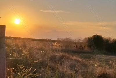 Teren de 8000 mp, în Brăniștari - 1