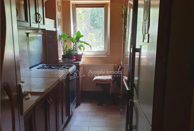 Garsoniera sebastian, parc, str. Motoc - 7