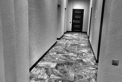 Spatiu comercial de inchiriat in zona Dristor - 2