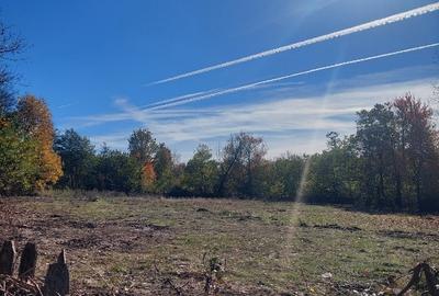 Vând teren 4200mp, int și ext în Romani  de jos - 1