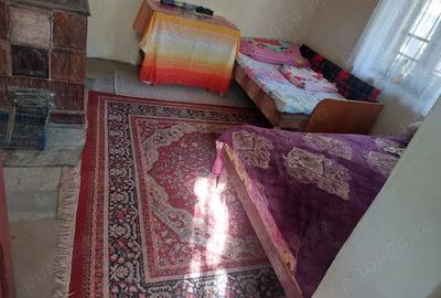 Casa de vanzare Valea Stanciului jude?ul Dolj - 6