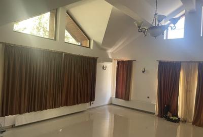 Vila individuala 7 camere de vanzare/inchiriere Iancu Nicolae - 4