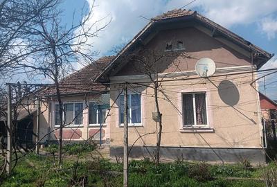 Casă cu 4 camere în Lunca Mureșului - 2