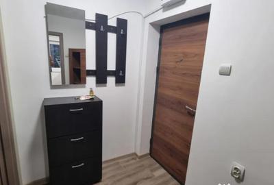 Apartament cu 2 camere semidecomandat, mobilat în Brazda lui Novac - 6