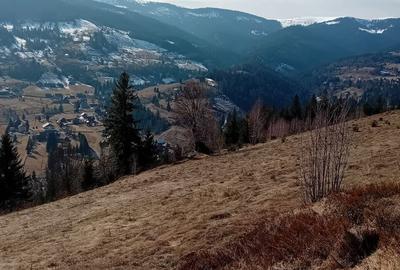 Teren de 1000 mp, în Arieșeni