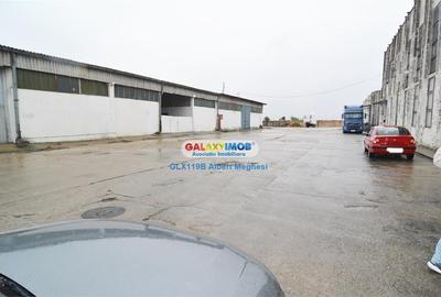 Inchiriere spatii depozitare suprafete intre 500 mp si 11000 mp - 16