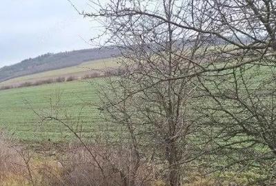 Teren cota parte 1/12 Deleni, ID: R2662164 - 9