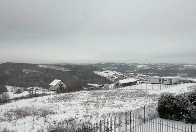 Casă în Săldăbagiu de Munte - 3