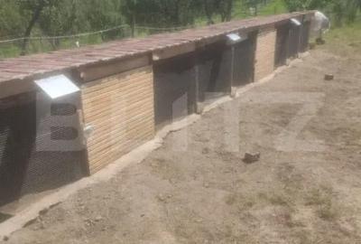 Casă cu 3 camere cu Teren 3500 Mp în Lechința - 1