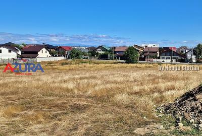 Teren Construcții intravilan de 2000 mp, în Bradu - 3